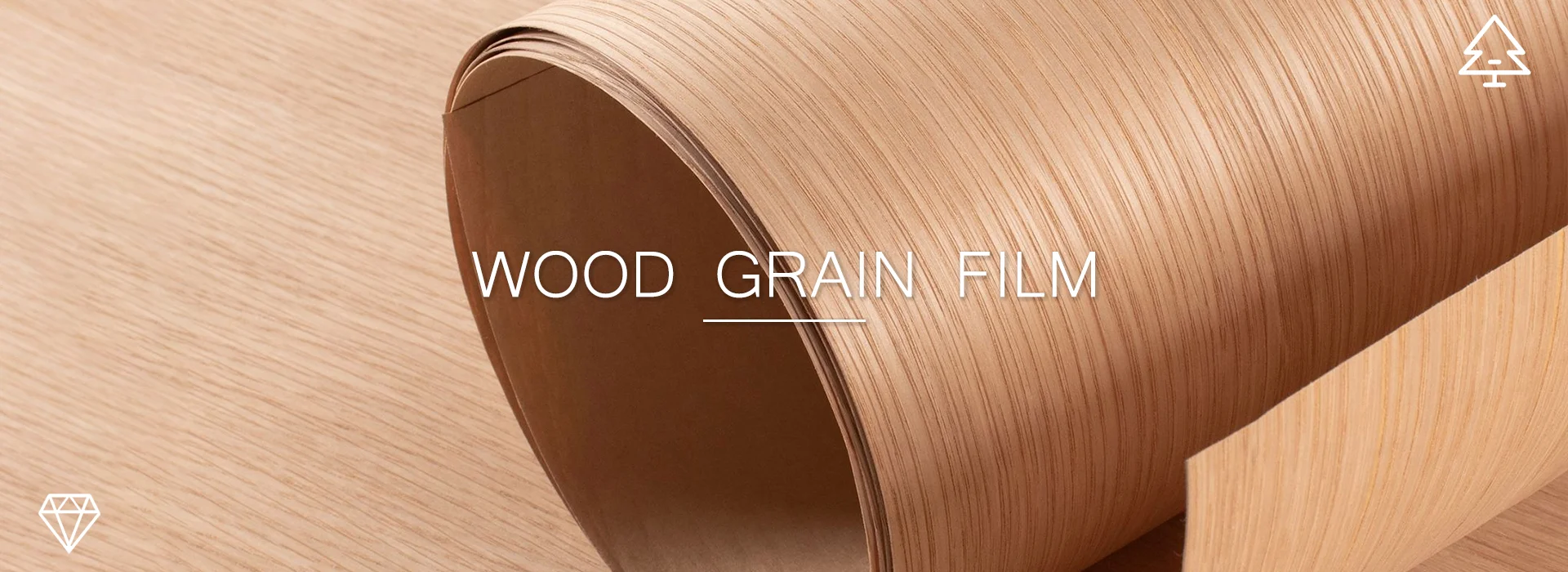 ಬ್ಯಾನರ್ 06